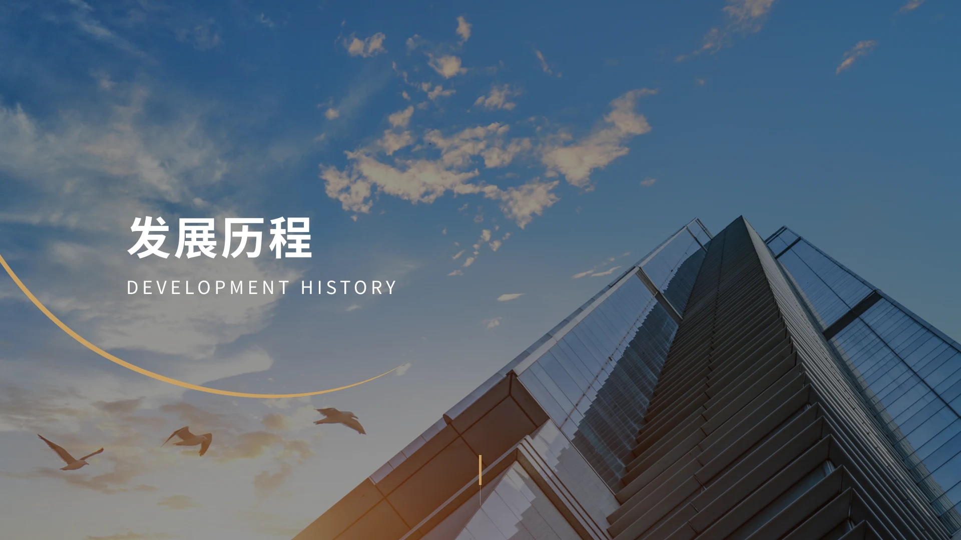 发展历程